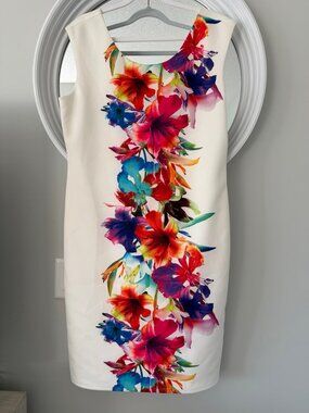 Frank Lyman Ivory Multicolour Floral Sleeveless Sheath Dress Size 12